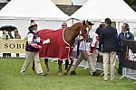 WEG1-EnduranceJog-8-27-14-0000587-DDeRosaPhoto