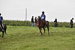 WEG-EnduranceRace-8-28-14-0001245-DDeRosaPhoto