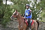 WEG-EnduranceRace-8-28-14-0002891-DDeRosaPhoto