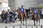 WEG-EnduranceRace-8-28-14-0002927-DDeRosaPhoto