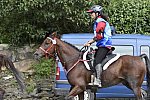 WEG-EnduranceRace-8-28-14-0002960-DDeRosaPhoto