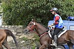 WEG-EnduranceRace-8-28-14-0002961-DDeRosaPhoto