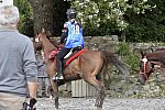 WEG-EnduranceRace-8-28-14-0002964-DDeRosaPhoto