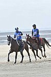 WEG-EnduranceRace-8-28-14-0004250-DDeRosaPhoto