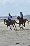 WEG-EnduranceRace-8-28-14-0004255-DDeRosaPhoto