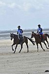 WEG-EnduranceRace-8-28-14-0004256-DDeRosaPhoto