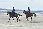 WEG-EnduranceRace-8-28-14-0004262-DDeRosaPhoto
