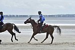 WEG-EnduranceRace-8-28-14-0004269-DDeRosaPhoto