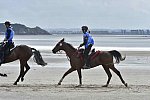 WEG-EnduranceRace-8-28-14-0004275-DDeRosaPhoto