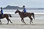 WEG-EnduranceRace-8-28-14-0004276-DDeRosaPhoto