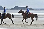 WEG-EnduranceRace-8-28-14-0004277-DDeRosaPhoto