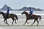 WEG-EnduranceRace-8-28-14-0004278-DDeRosaPhoto