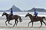WEG-EnduranceRace-8-28-14-0004279-DDeRosaPhoto