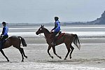 WEG-EnduranceRace-8-28-14-0004285-DDeRosaPhoto