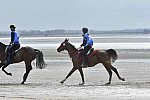WEG-EnduranceRace-8-28-14-0004287-DDeRosaPhoto