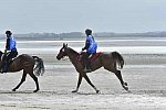 WEG-EnduranceRace-8-28-14-0004288-DDeRosaPhoto
