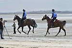 WEG-EnduranceRace-8-28-14-0004292-DDeRosaPhoto