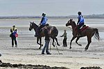 WEG-EnduranceRace-8-28-14-0004294-DDeRosaPhoto