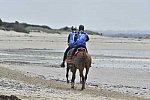 WEG-EnduranceRace-8-28-14-0004297-DDeRosaPhoto