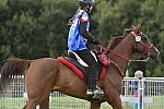 WEG-EnduranceRace-8-28-14-0005004-DDeRosaPhoto