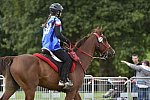 WEG-EnduranceRace-8-28-14-0005006-DDeRosaPhoto