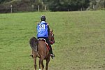WEG-EnduranceRace-8-28-14-0005013-DDeRosaPhoto