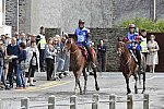 WEG-EnduranceRace-8-28-14-0002925-DDeRosaPhoto
