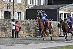 WEG-EnduranceRace-8-28-14-0002940-DDeRosaPhoto