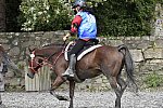 WEG-EnduranceRace-8-28-14-0002966-DDeRosaPhoto