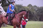 WEG-EnduranceRace-8-28-14-0000893-DDeRosaPhoto