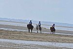 WEG-EnduranceRace-8-28-14-0004514-DDeRosaPhoto