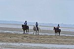 WEG-EnduranceRace-8-28-14-0004516-DDeRosaPhoto