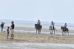 WEG-EnduranceRace-8-28-14-0004519-DDeRosaPhoto