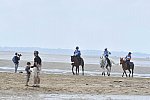 WEG-EnduranceRace-8-28-14-0004522-DDeRosaPhoto
