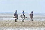 WEG-EnduranceRace-8-28-14-0004541-DDeRosaPhoto