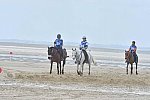 WEG-EnduranceRace-8-28-14-0004550-DDeRosaPhoto