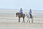 WEG-EnduranceRace-8-28-14-0004569-DDeRosaPhoto