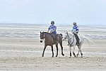 WEG-EnduranceRace-8-28-14-0004571-DDeRosaPhoto