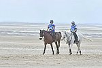 WEG-EnduranceRace-8-28-14-0004572-DDeRosaPhoto