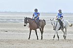 WEG-EnduranceRace-8-28-14-0004573-DDeRosaPhoto