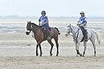 WEG-EnduranceRace-8-28-14-0004576-DDeRosaPhoto