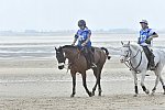 WEG-EnduranceRace-8-28-14-0004580-DDeRosaPhoto