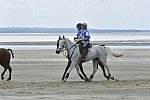 WEG-EnduranceRace-8-28-14-0004596-DDeRosaPhoto