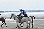 WEG-EnduranceRace-8-28-14-0004608-DDeRosaPhoto