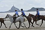 WEG-EnduranceRace-8-28-14-0004616-DDeRosaPhoto