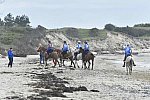 WEG-EnduranceRace-8-28-14-0004675-DDeRosaPhoto