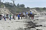 WEG-EnduranceRace-8-28-14-0004680-DDeRosaPhoto