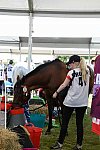 WEG2-Endurance-8-28-14-6526-DDeRosaPhoto