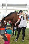 WEG2-Endurance-8-28-14-6527-DDeRosaPhoto