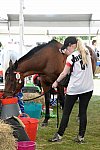 WEG2-Endurance-8-28-14-6528-DDeRosaPhoto